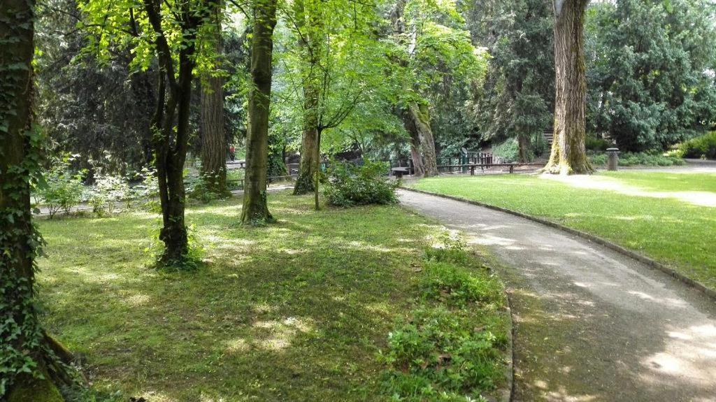 Appartamento Con Terrazzo A 戈尔贡佐拉 外观 照片